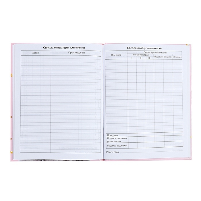 Дневник универсальный для 1-11 классов, Дневник универсальный для 1-11 классов, "Киса", твердая обложка 7БЦ, глянцевая ламинация, 40 листов