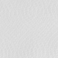 Полотенца бумажные д/дисп FOCUS SMART Vсл 2сл 200л 12пач/уп_5103218