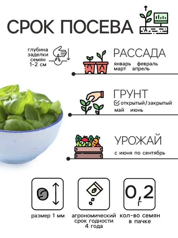 Семена Базилик &laquo;Крупнолистный&raquo;, 0.2 г, &laquo;Рецепты дедушки Никиты&raquo;