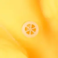 Резиновая игрушка для ванны Крошка Я &laquo;Динозавр: Гадрозавр&raquo;, 26 см, с пищалкой