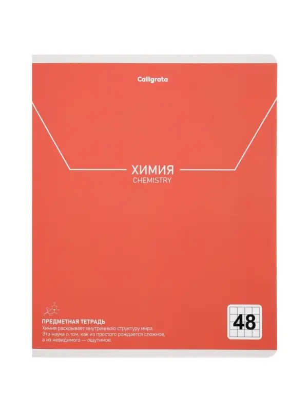 Комплект 12 предметных тетрадей 48 листов, справочная информация, 60гр, Пастель