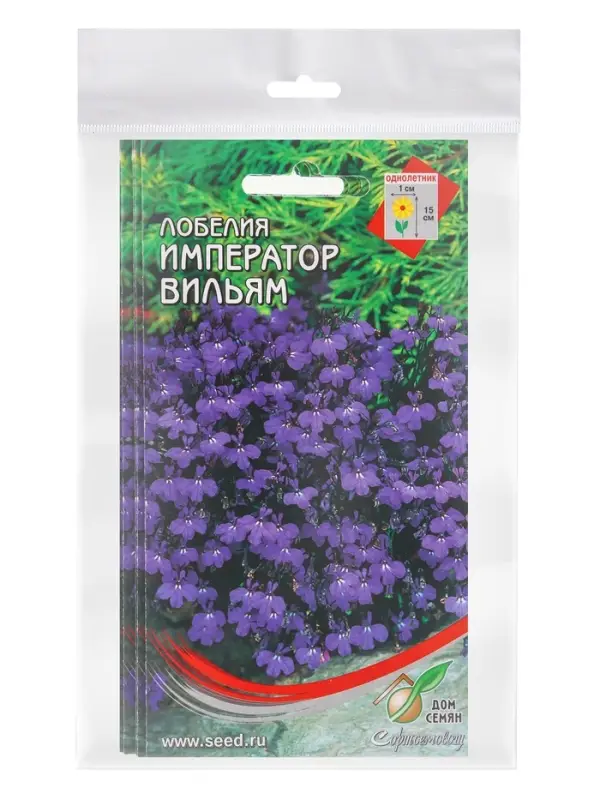 Набор семян Лобелия &laquo;Император Вильям&raquo;, 5 шт., &laquo;Мой выбор&raquo;