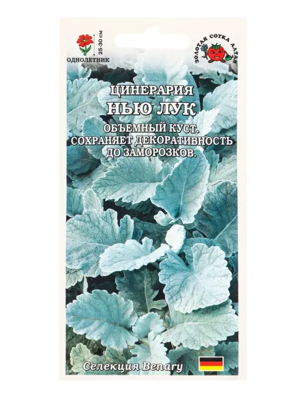 Семена Цинерария Нью Лук /Сотка/ 10шт/ гранулы h-30см Benary/*500