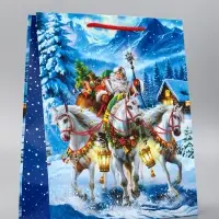 Пакет подарочный новогодний ламинированный, «На встречу Новому Году» , 26×12×32 см