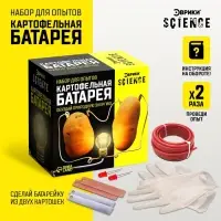 Набор для опытов &laquo;Картофельная батарейка&raquo;