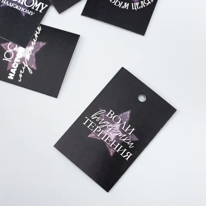 Набор бирок для подарков, цветов «Настоящему мужчине», 10 шт. (5 видов), 4×6 см, картон, МИКС