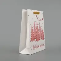 Пакет подарочный новогодний ламинированный &laquo;Сказочный лес&raquo;, тиснение, M 30&times;26&times;9 см