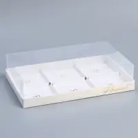 Коробка кондитерская для муссовых пирожных &laquo;Present&raquo;, 27&times;17.8&times;6.5 см