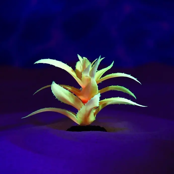 Растение для аквариума и террариума, светящееся, 10 см, красное