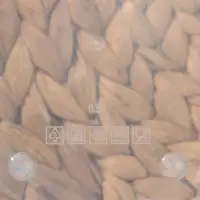 Набор контейнеров пищевых прямоугольных Доляна, 3 шт: 150 мл, 500 мл, 1,2 л, цвет синий