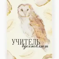 Ежедневник недатированный, А6, 80 л., мягкая обложка &laquo;Золотой учитель&raquo;