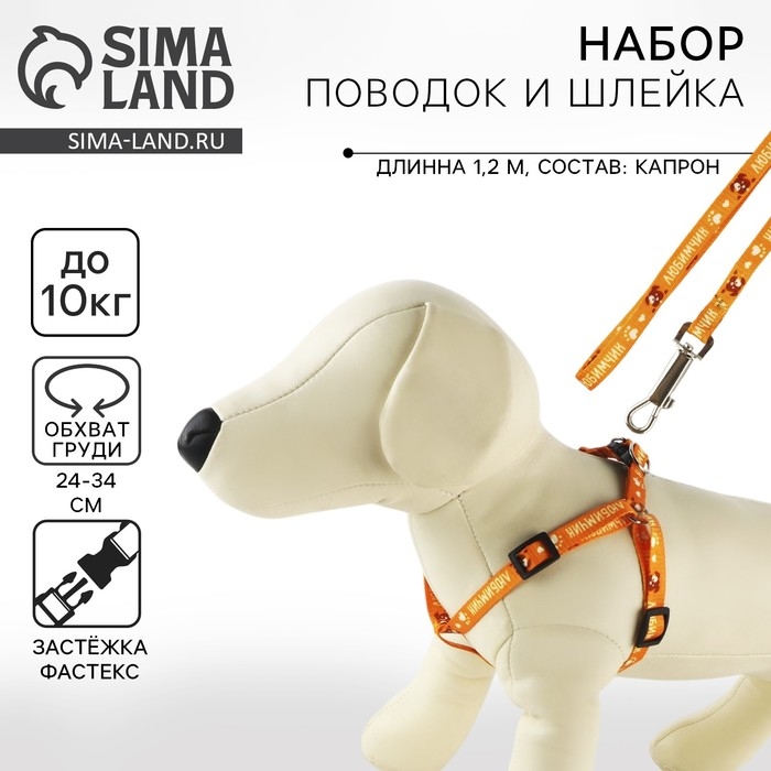 Комплект &laquo;Любимчик&raquo;, шлейка 24-34 см, поводок 120х1 см
