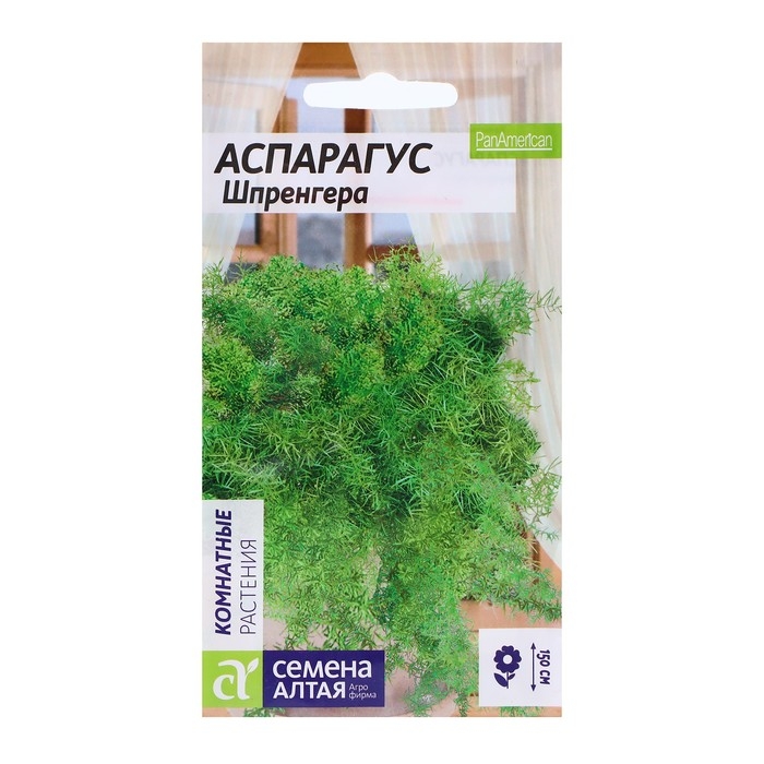 Семена Аспарагус  Семена Аспарагус "Шпренггера", ц/п,  5 шт