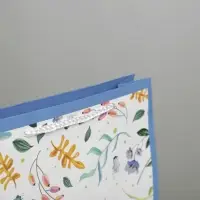 Пакет подарочный ламинированный, упаковка, Best wishes, ML 21&times;25&times;8 см