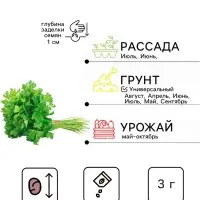 Семена Петрушка листовая &laquo;Итальянский гигант&raquo;, 3 г, &laquo;Тимирязевский питомник&raquo;
