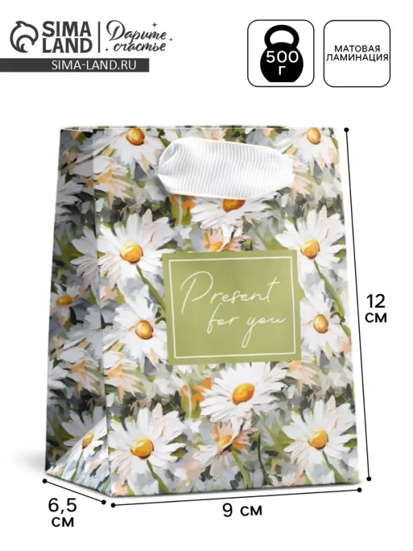 Пакет подарочный ламинированный, упаковка, Present, 9&times;12&times;6.5 см