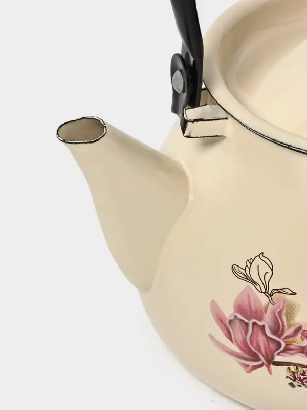 Чайник эмалированный &laquo;Магнолия&raquo;, 3 л, металлическая ручка, слоновой кости