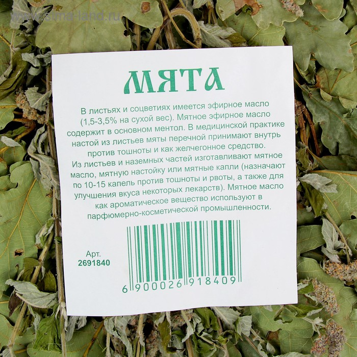 Веник для бани дубовый, 55 см с мятой Веник для бани дубовый, 55 см с мятой