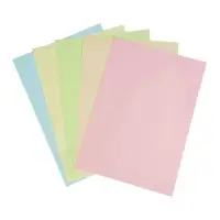Бумага цветная Calligrata. Mix, А4, 100 листов, 10 цветов, тонированная в массе, 80 г/м&sup2;, МИКС