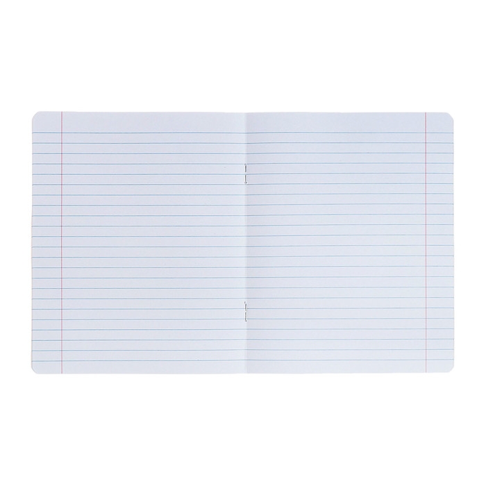 Комплект тетрадей из 10 штук, 12 листов в линию Calligrata "Котята", обложка мелованный картон, ВД-лак, блок офсет, белизна 95%, 5 видов по 2 штуки