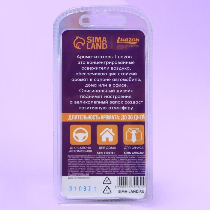 Ароматизатор подвесной «Запахло дынькой», аромат: дыня, 5 мл Ароматизатор подвесной «Запахло дынькой», аромат: дыня, 5 мл