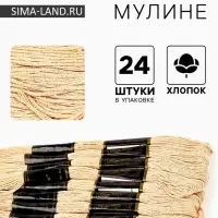 Нитки мулине Bestex, бежевый цвет (803), 24 шт. в уп.
