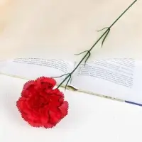 Цветы искусственные «Гвоздика красная с кантом», h=40 см, d=8 см