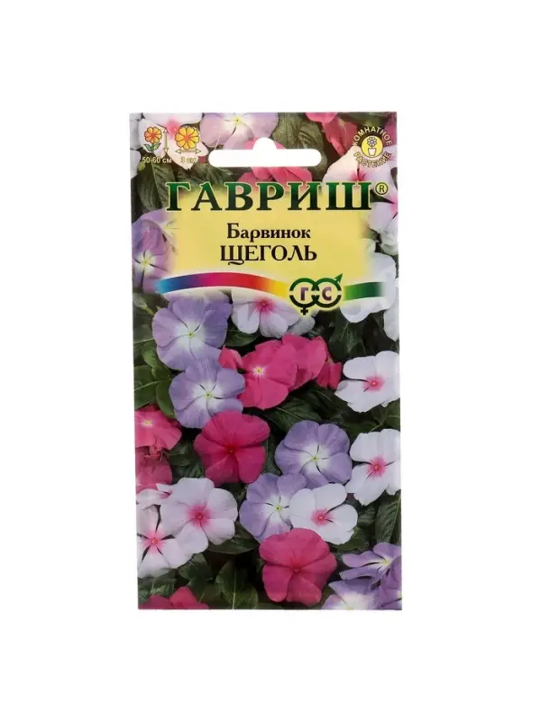 Набор семян комнатных Барвинок Набор семян комнатных Барвинок "Щеголь", 5 шт.
