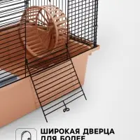 Клетка для грызунов &laquo;Пижон&raquo;, 42&times;30&times;65 см, 4 этажа, 2 домика, колесо, миска, бежевая