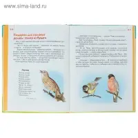 Я играю и расту. Развивающие игры и задания для детей 4-5 лет. Акопова Э. С.