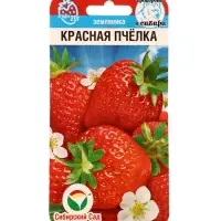 Семена Земляника &laquo;Красная пчелка&raquo;, 10 шт., &laquo;Сибирский сад&raquo;