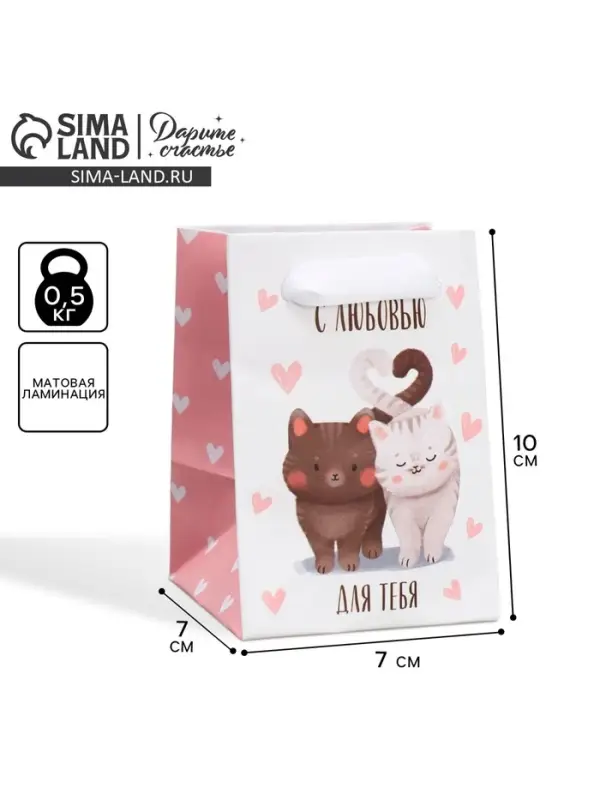 Пакет подарочный ламинированный, упаковка, «Котики», 7×10×7 см Пакет подарочный ламинированный, упаковка, «Котики», 7×10×7 см