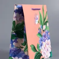 Пакет подарочный "Цветы эмоций" ламинированный 18 х 22,3 х 10 см