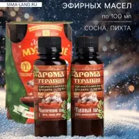 Новогодний набор эфирных масел &laquo;Лучшему мужчине&raquo;, мята, пихта, лимон, можжевельник, 2 шт. по 100 мл