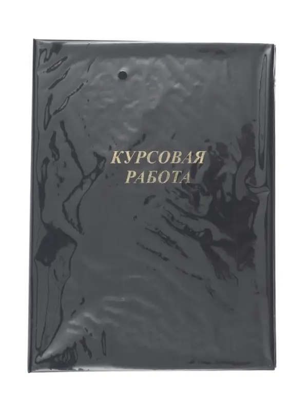 Папка &laquo;Курсовая работа&raquo; А4, бумвинил, гребешки/сутаж, (без бумаги) синяя 10КР01