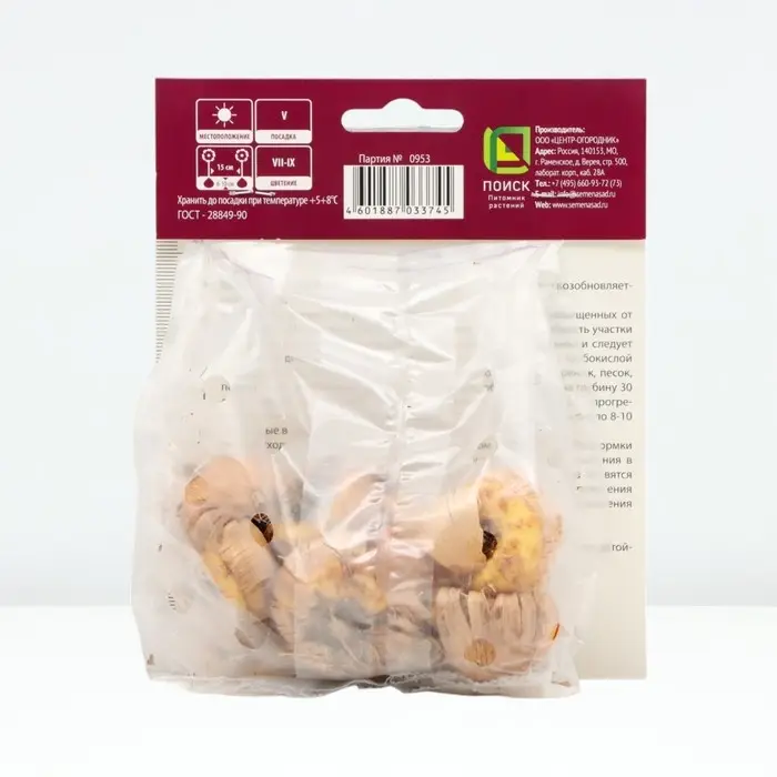 Гладиолус крупноцветковый &laquo;Вайт Просперити&raquo;, луковица цветов в пакете с перфорацией, р-р 10/12, 10 шт.