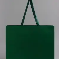 Пакет подарочный ламинированный горизонтальный &laquo;Изумрудный&raquo;, 40&times;32&times;13 см