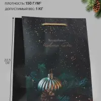 Пакет подарочный &laquo;Волшебного Нового года&raquo;, 18&times;10&times;22.3 см