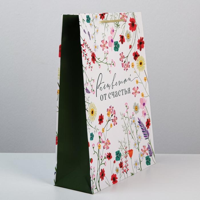 Пакет подарочный ламинированный, упаковка, «Расцветай от счастья», L 28 х 38 х 9 см Пакет подарочный ламинированный, упаковка, «Расцветай от счастья», L 28 х 38 х 9 см