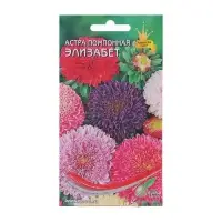 Семена цветов Астра помпонная "Элизабет" Дом семян, смесь, О,  100 шт Семена цветов Астра помпонная "Элизабет" Дом семян, смесь, О,  100 шт