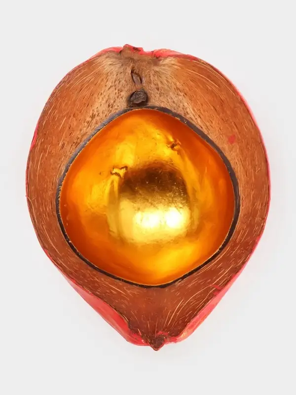 Чаша из кокоса, 19&times;22&times;10 см, красно-золотая