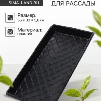Поддон для рассады, 55&times;30&times;5.6 см, пластик, чёрный, дно МИКС, Greengo