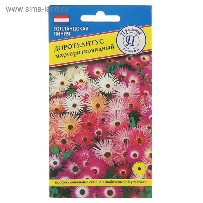 Семена цветов Доротеантус маргаритковый Смесь, О, 0,1 г Семена цветов Доротеантус маргаритковый Смесь, О, 0,1 г