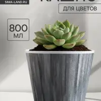 Кашпо для цветов &laquo;Досочки&raquo;, 800 мл, d=11 см, h=12 см, пластиковое