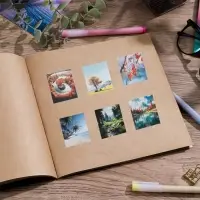 Наклейки-стикеры, набор,«Природа», 6 х 7 см, 50 шт