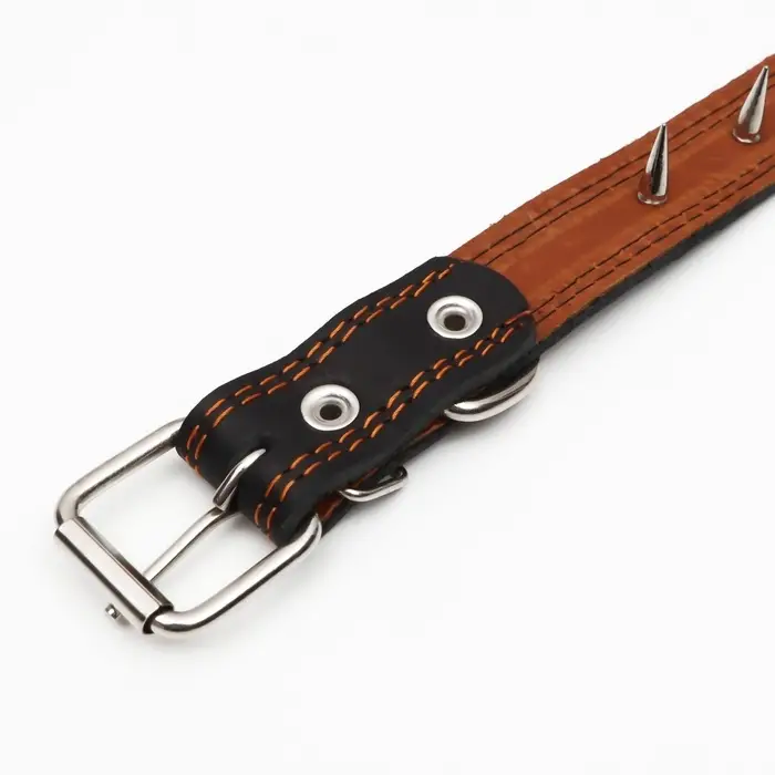 Ошейник кожаный &laquo;Строгий шип&raquo;, 65&times;3 см, ОШ 40-55 см, чёрный