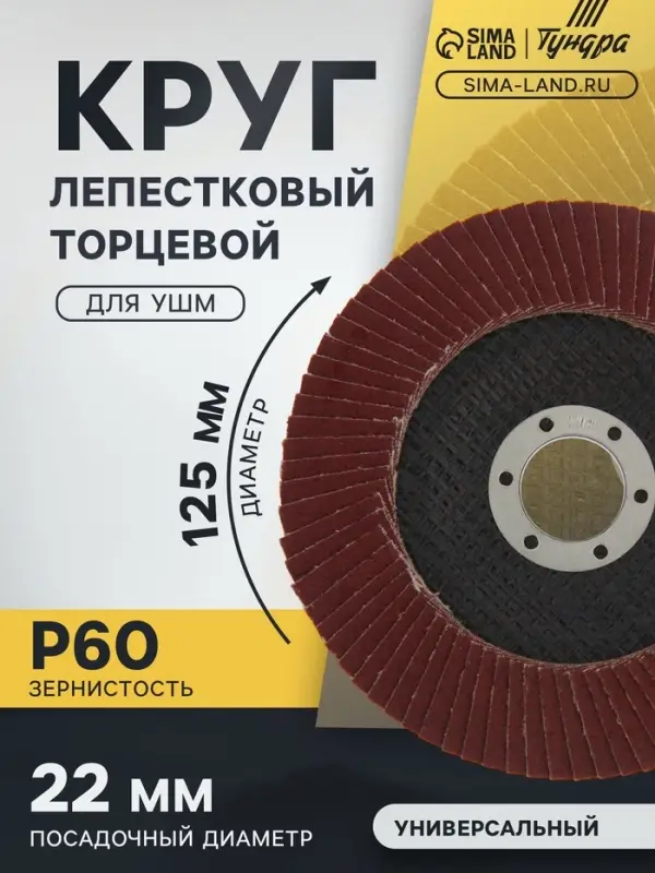 Круг лепестковый торцевой ТУНДРА, 125&times;22 мм, Р60