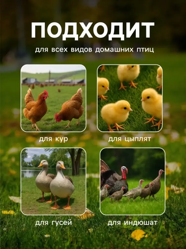 Поилка для домашней птицы, 3.5 л, пластик, Greengo