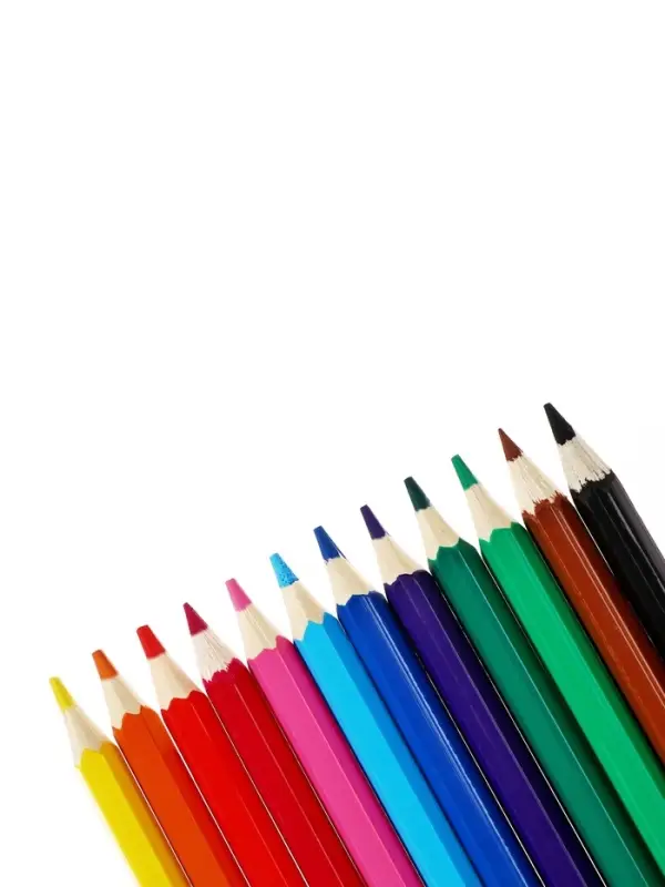 Цветные карандаши 12 цветов ZOO, пластиковые, шестигранные