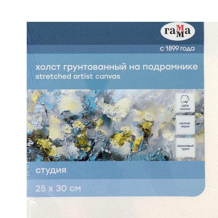 Холст на подрамнике, хлопок 100%, 25 х 30 х 1,8 см, акриловый грунт, мелкозернистый, 280 г/м2, Холст на подрамнике, хлопок 100%, 25 х 30 х 1,8 см, акриловый грунт, мелкозернистый, 280 г/м2, "Студия"